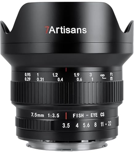 Amazon.com : Sigma 8mm f/4.0 EX Circular Fisheye Lens for Nikon